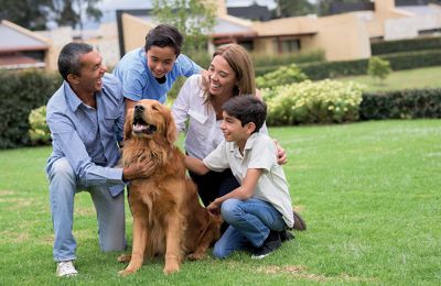 Beautiful Latin American family looking very happy stroking a dog